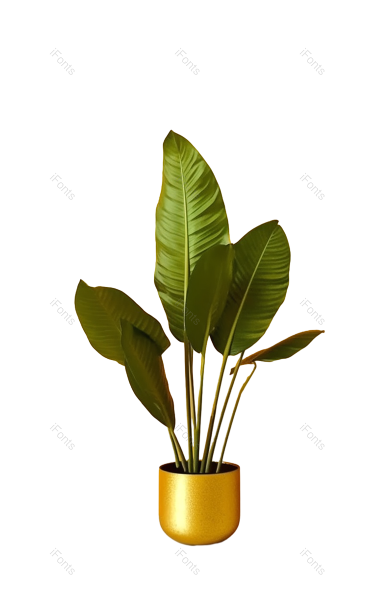 叶子图片,纹理元素,清新PNG,摄影免抠素材